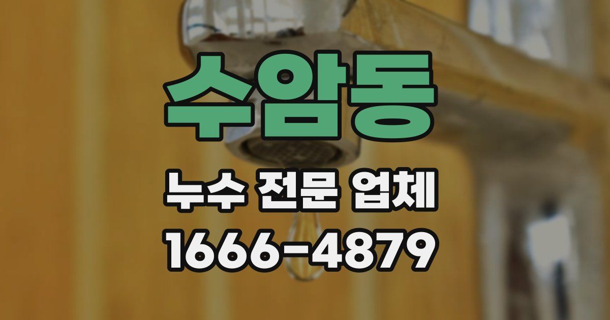 수암동 누수 전문 업체