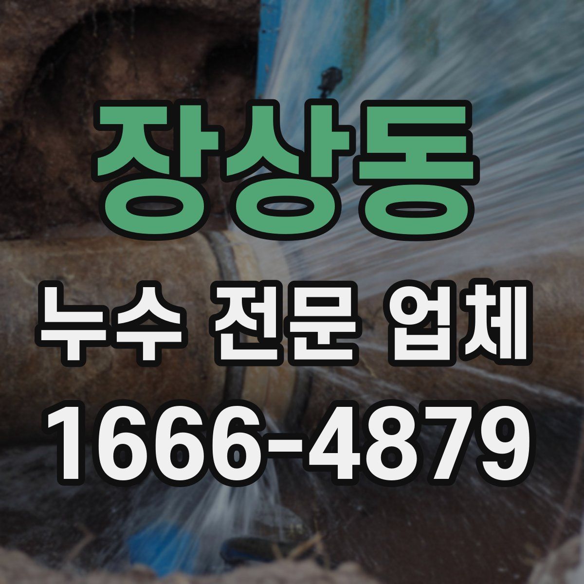 장상동 누수 전문 업체