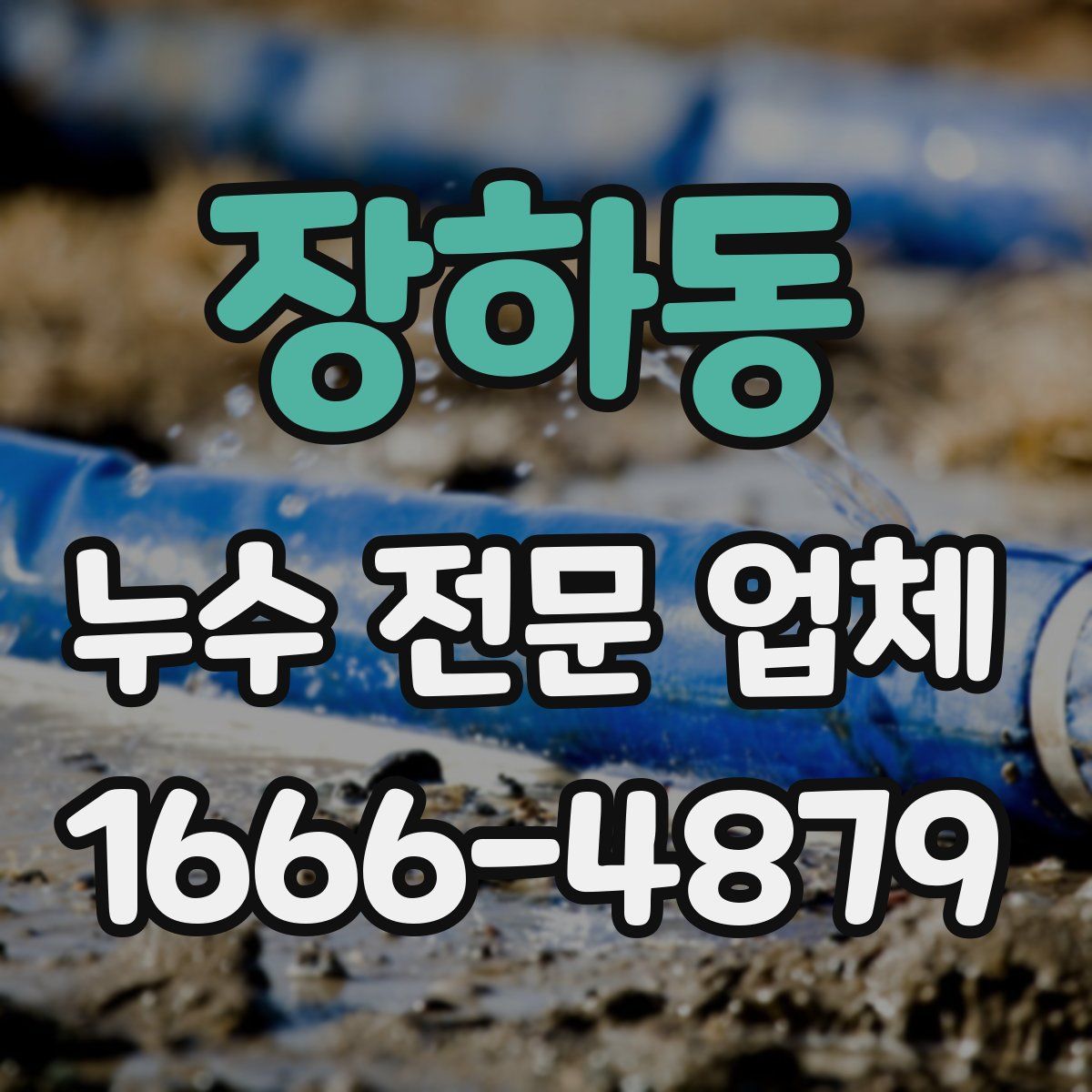 장하동 누수 전문 업체