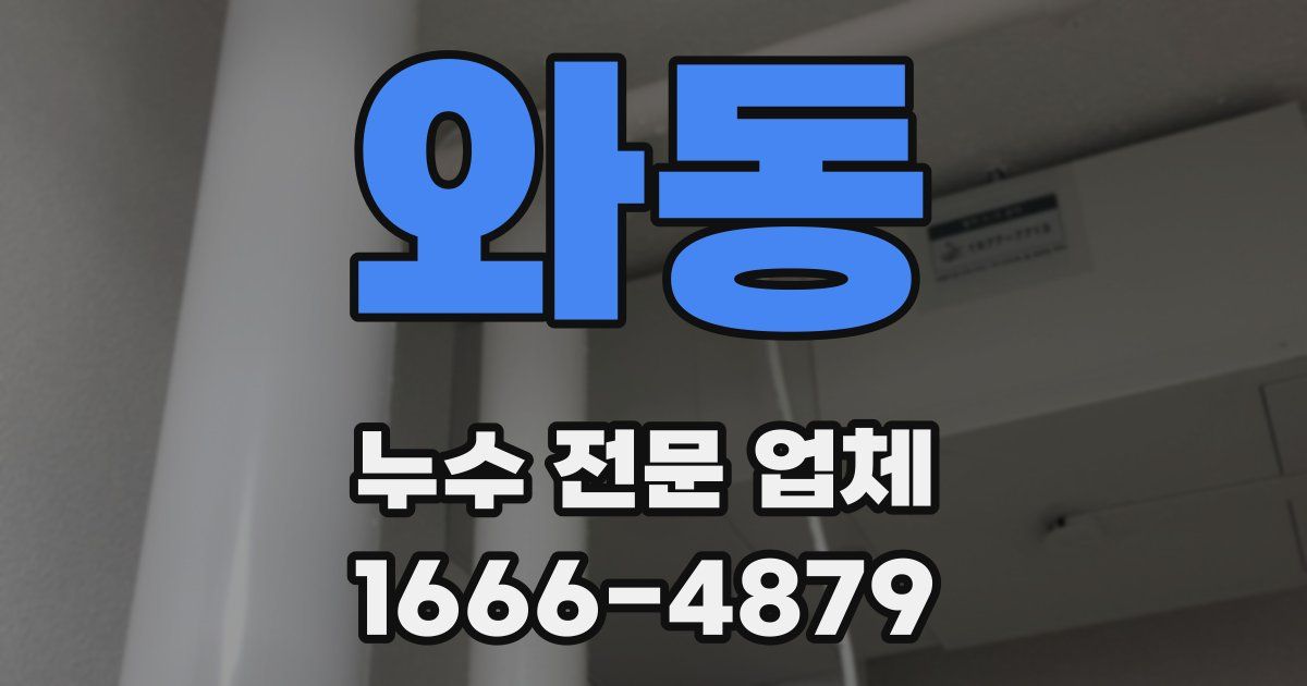 와동 누수 전문 업체