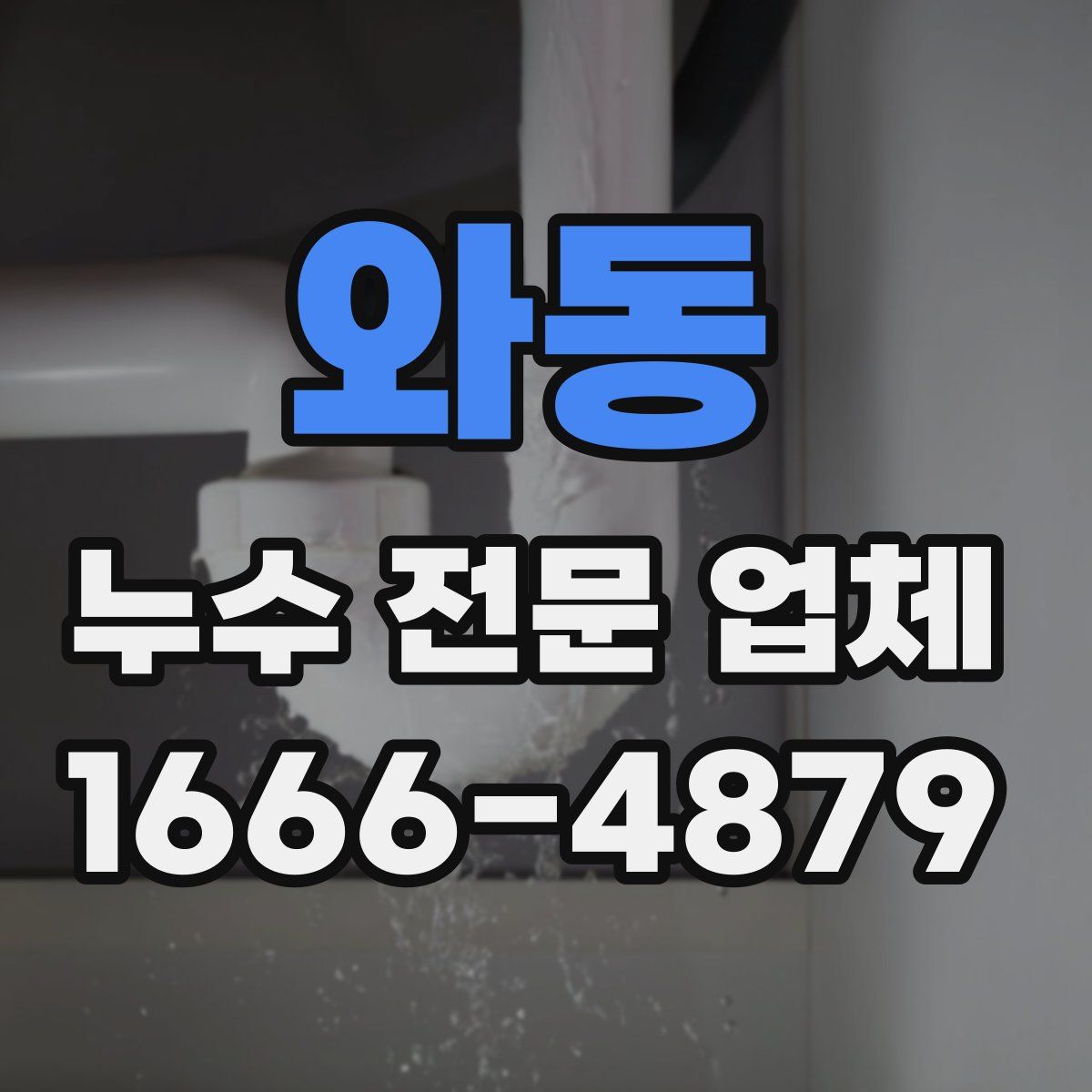와동 누수 전문 업체