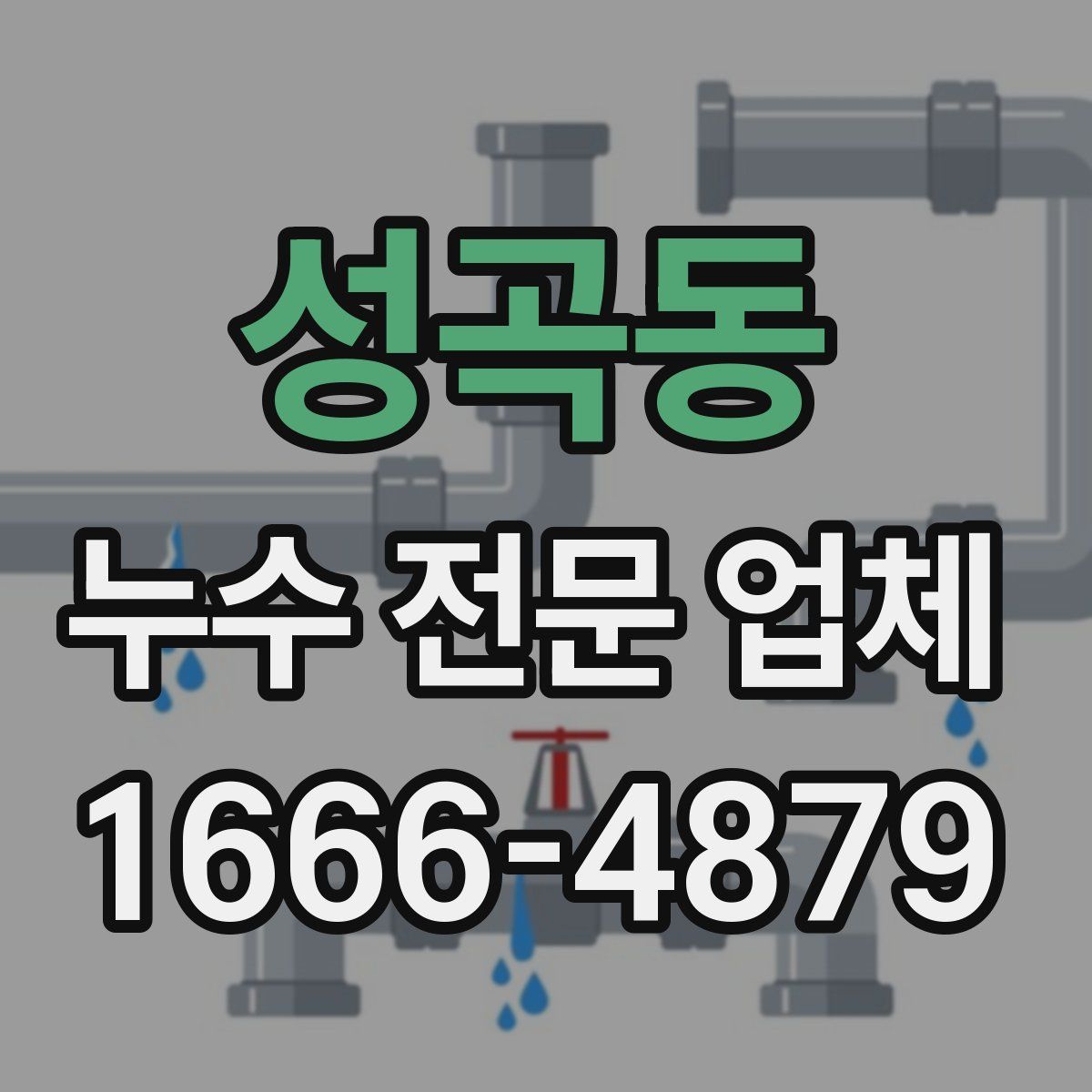 성곡동 누수 전문 업체