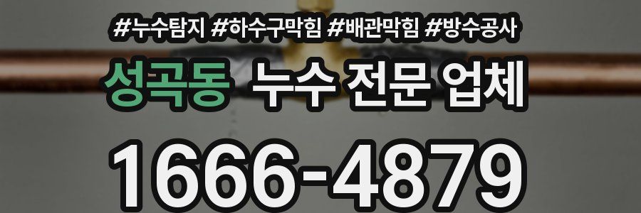 성곡동 누수 전문 업체