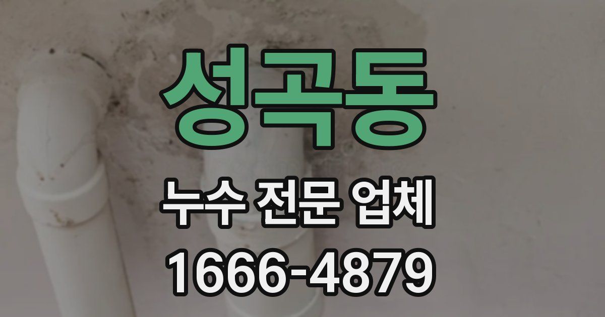성곡동 누수 전문 업체