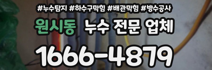 원시동 누수 전문 업체