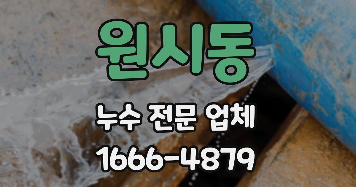 원시동 누수 전문 업체