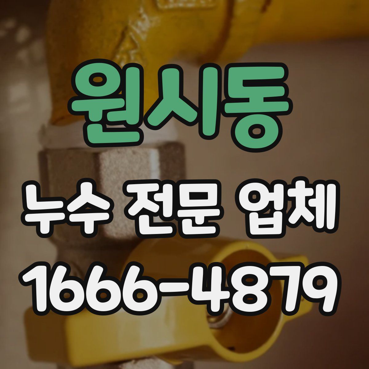 원시동 누수 전문 업체