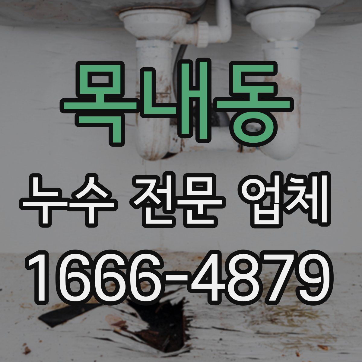 목내동 누수 전문 업체