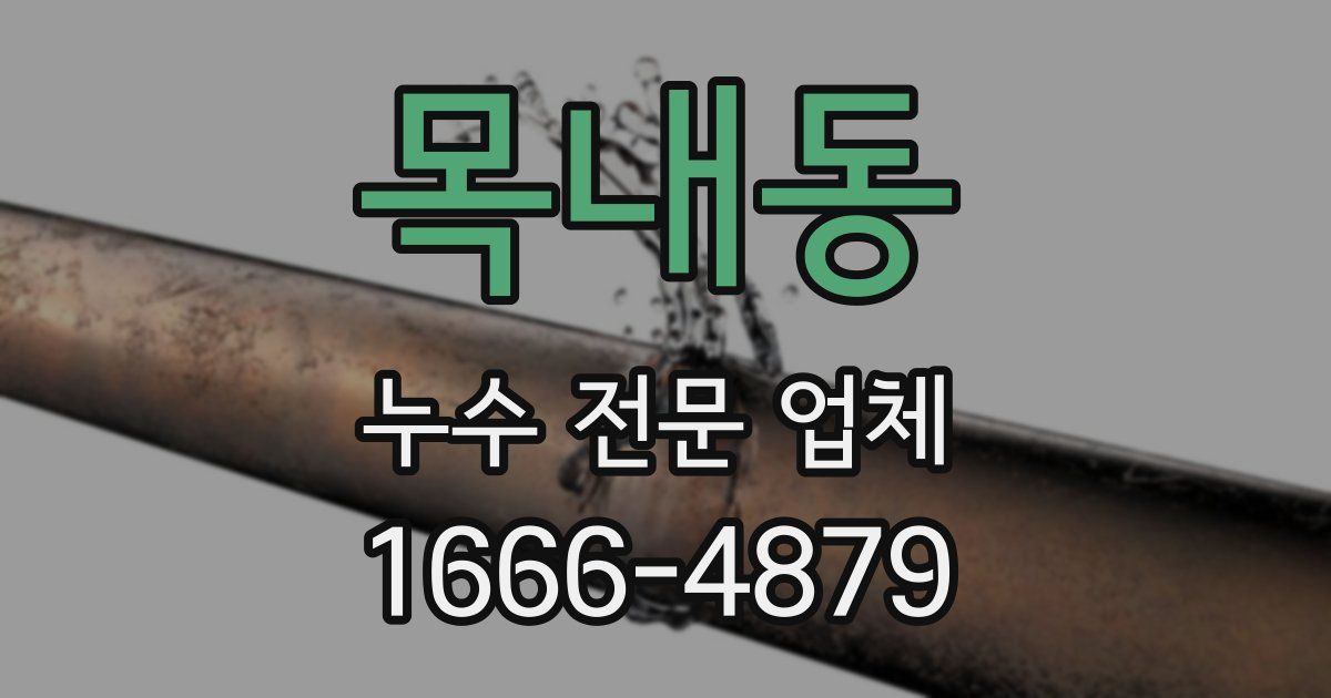 목내동 누수 전문 업체