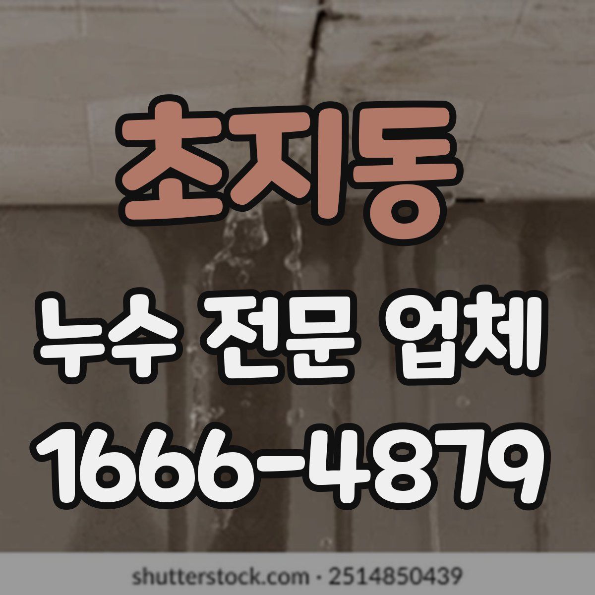 초지동 누수 전문 업체
