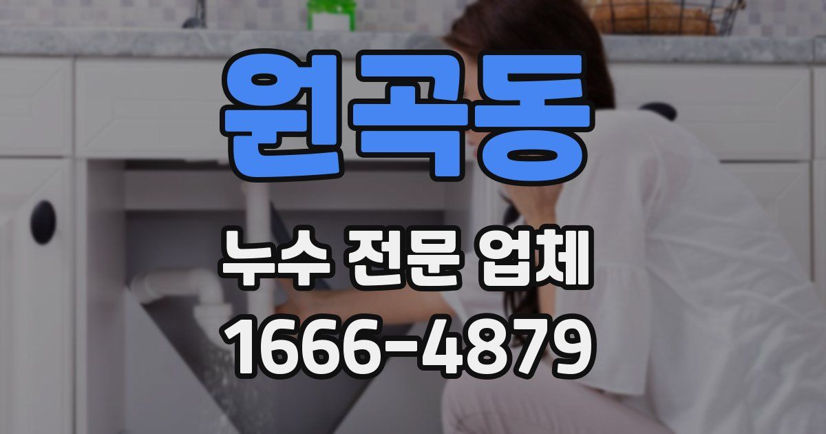원곡동 누수 전문 업체