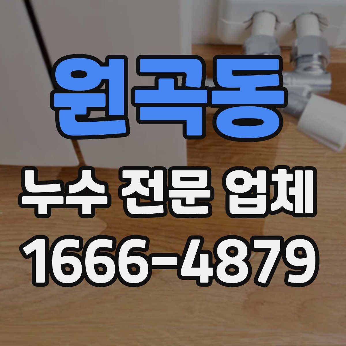 원곡동 누수 전문 업체