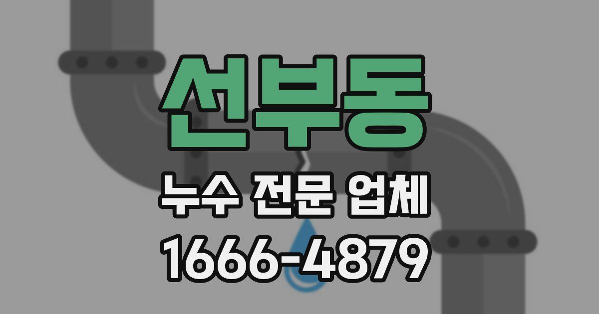 선부동 누수 전문 업체