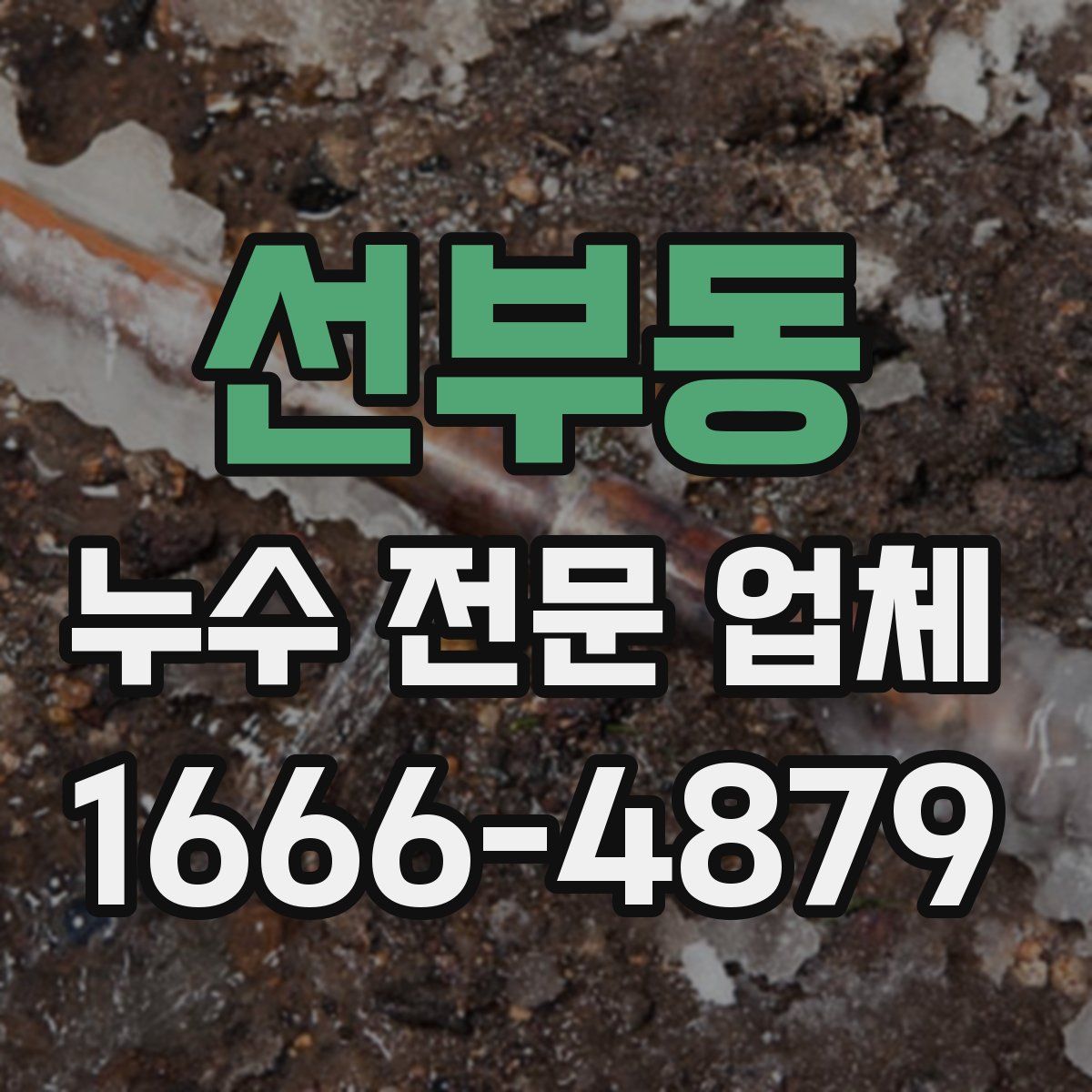 선부동 누수 전문 업체