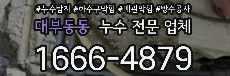 대부동동 누수 전문 업체