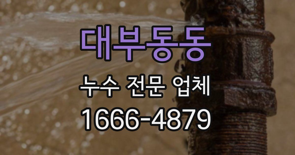 대부동동 누수 전문 업체