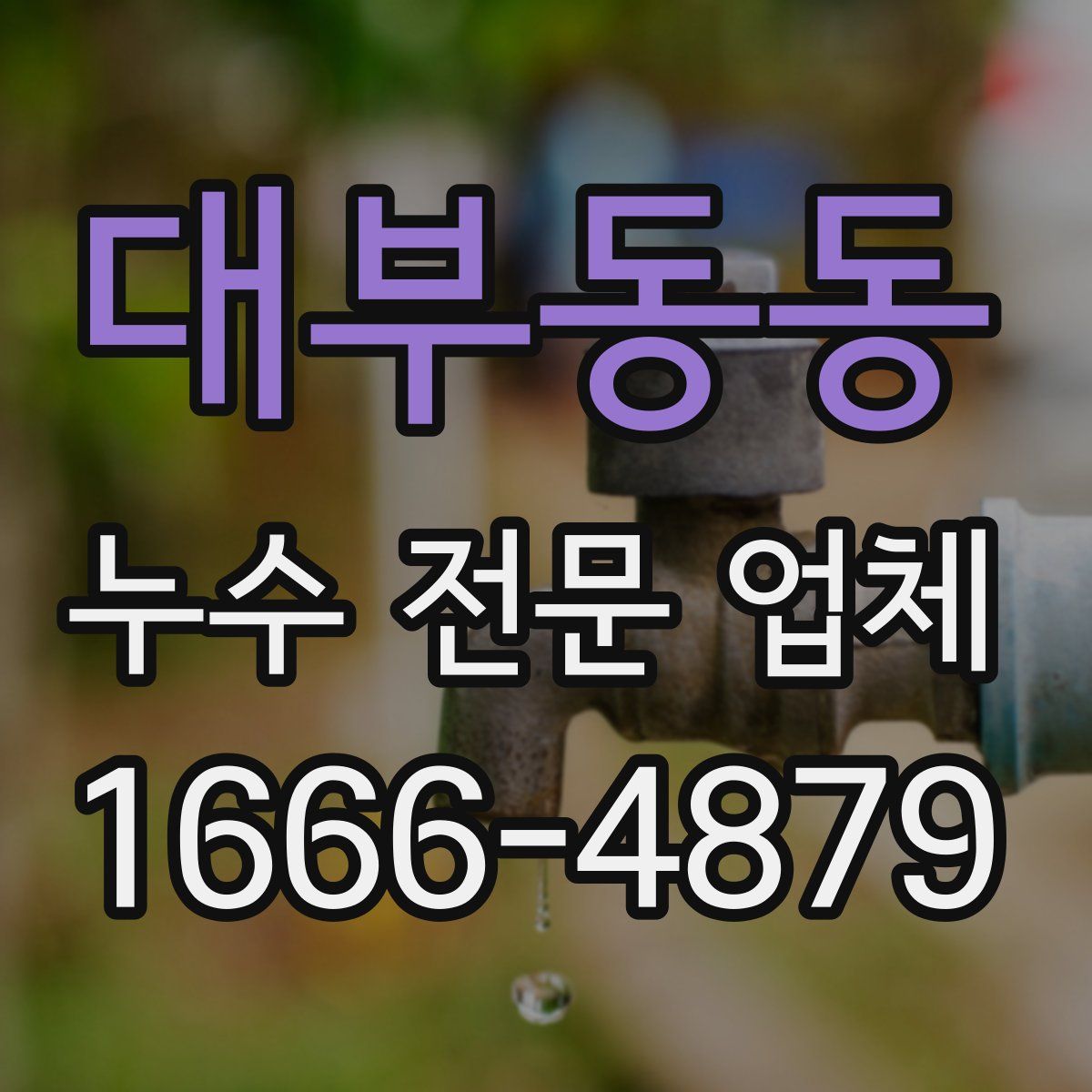 대부동동 누수 전문 업체