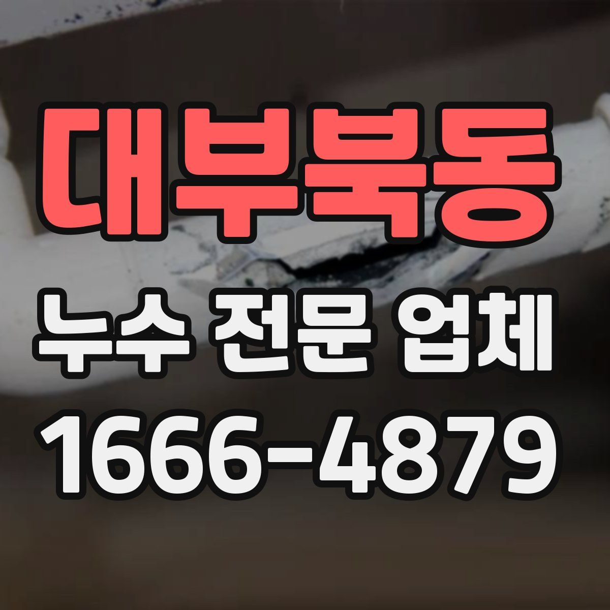 대부북동 누수 전문 업체
