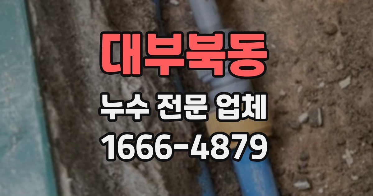 대부북동 누수 전문 업체