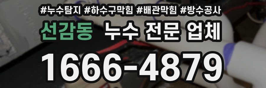 선감동 누수 전문 업체