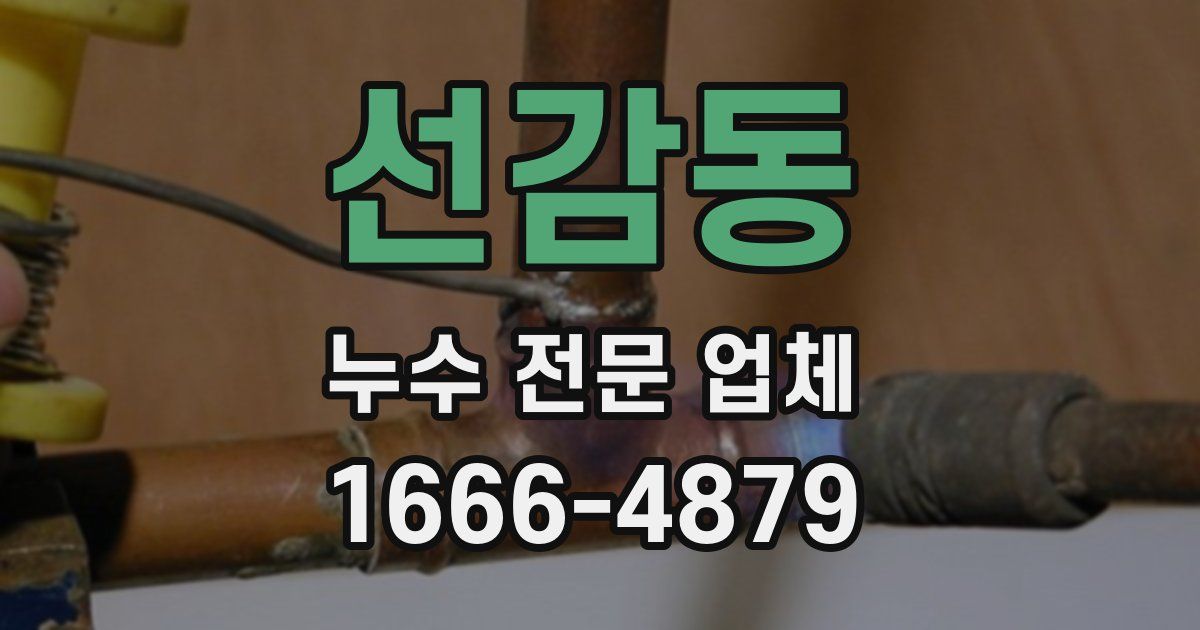 선감동 누수 전문 업체