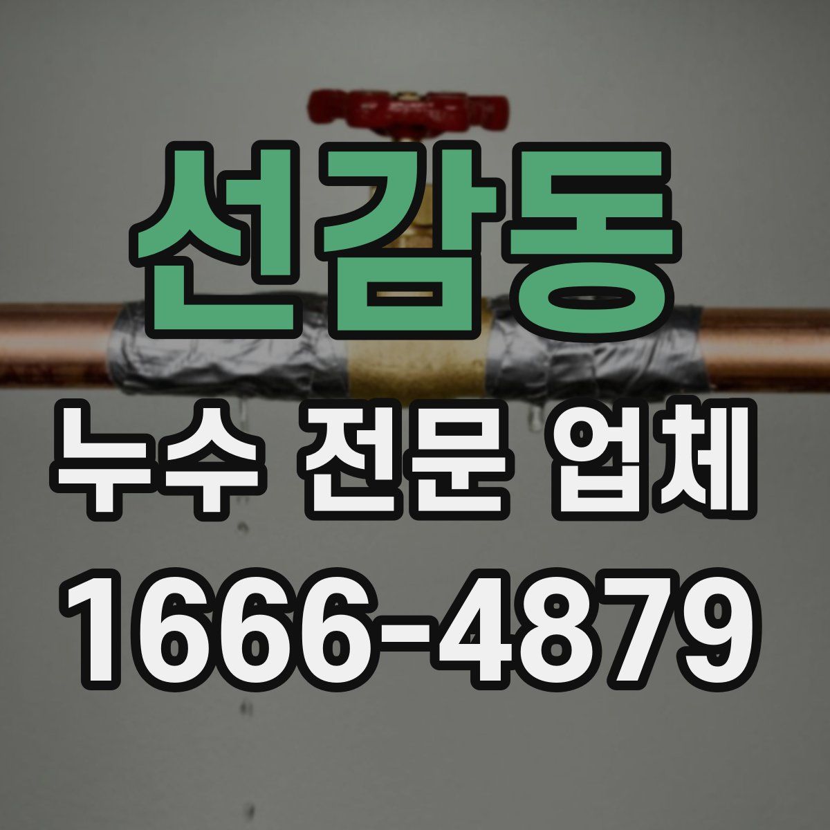 선감동 누수 전문 업체
