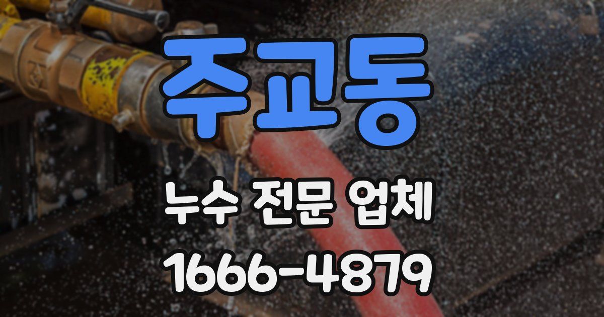 주교동 누수 전문 업체