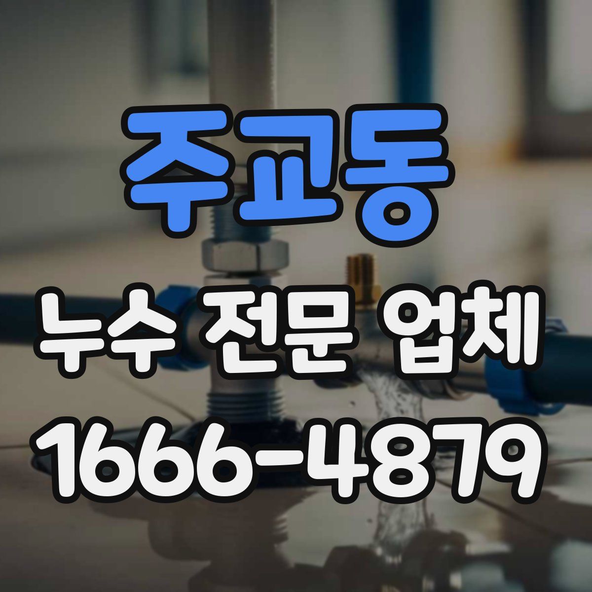 주교동 누수 전문 업체
