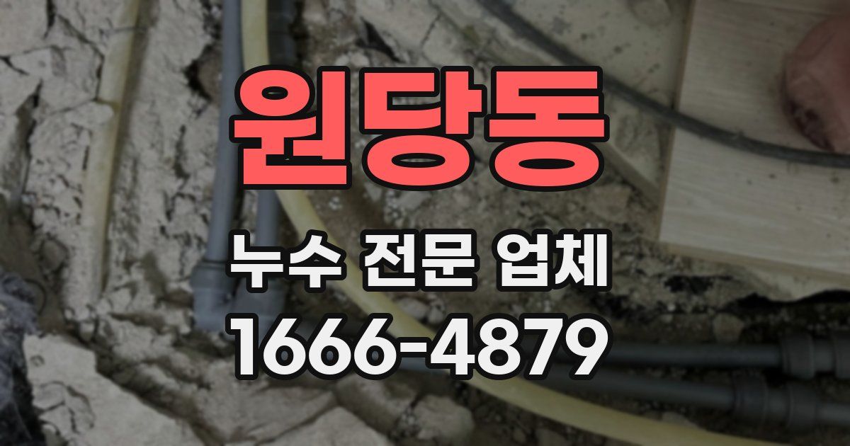 원당동 누수 전문 업체