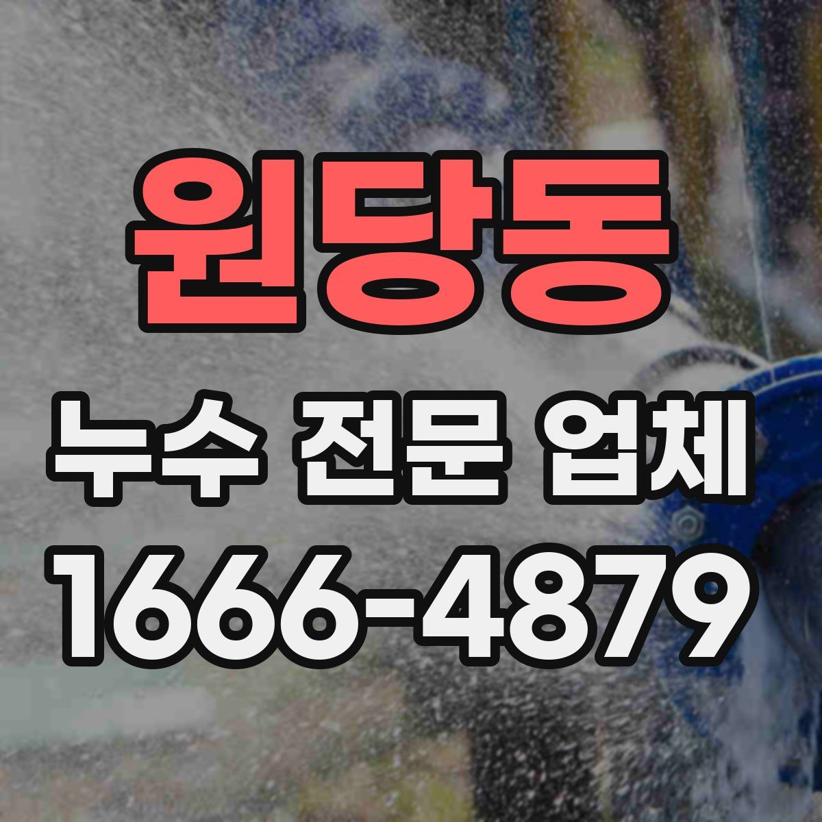 원당동 누수 전문 업체