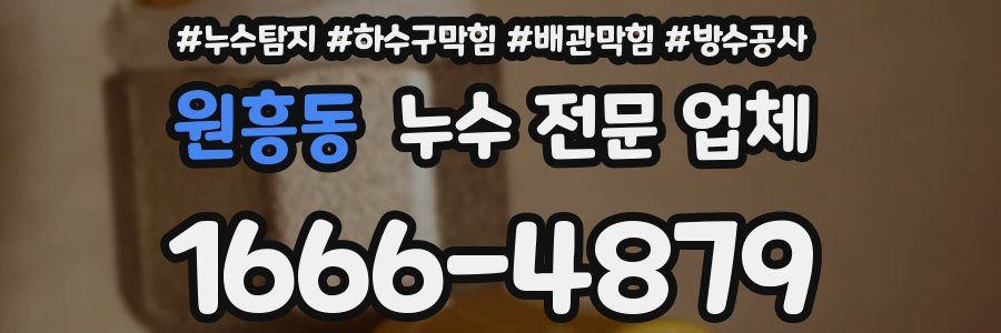 원흥동 누수 전문 업체