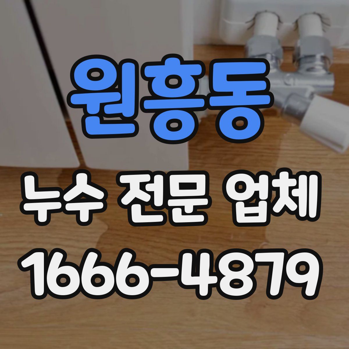 원흥동 누수 전문 업체