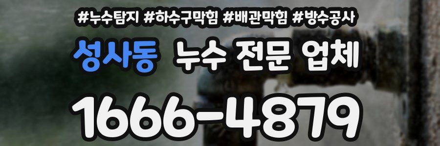 성사동 누수 전문 업체