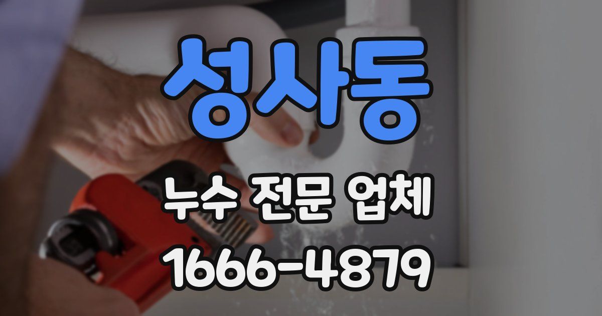성사동 누수 전문 업체