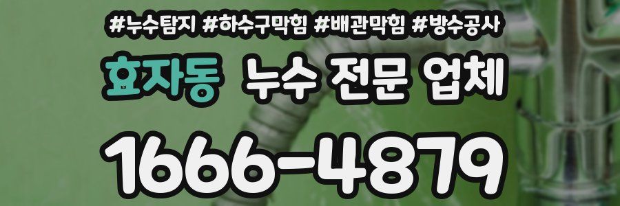 효자동 누수 전문 업체