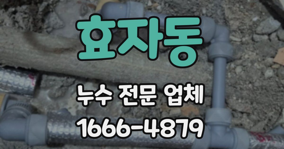효자동 누수 전문 업체