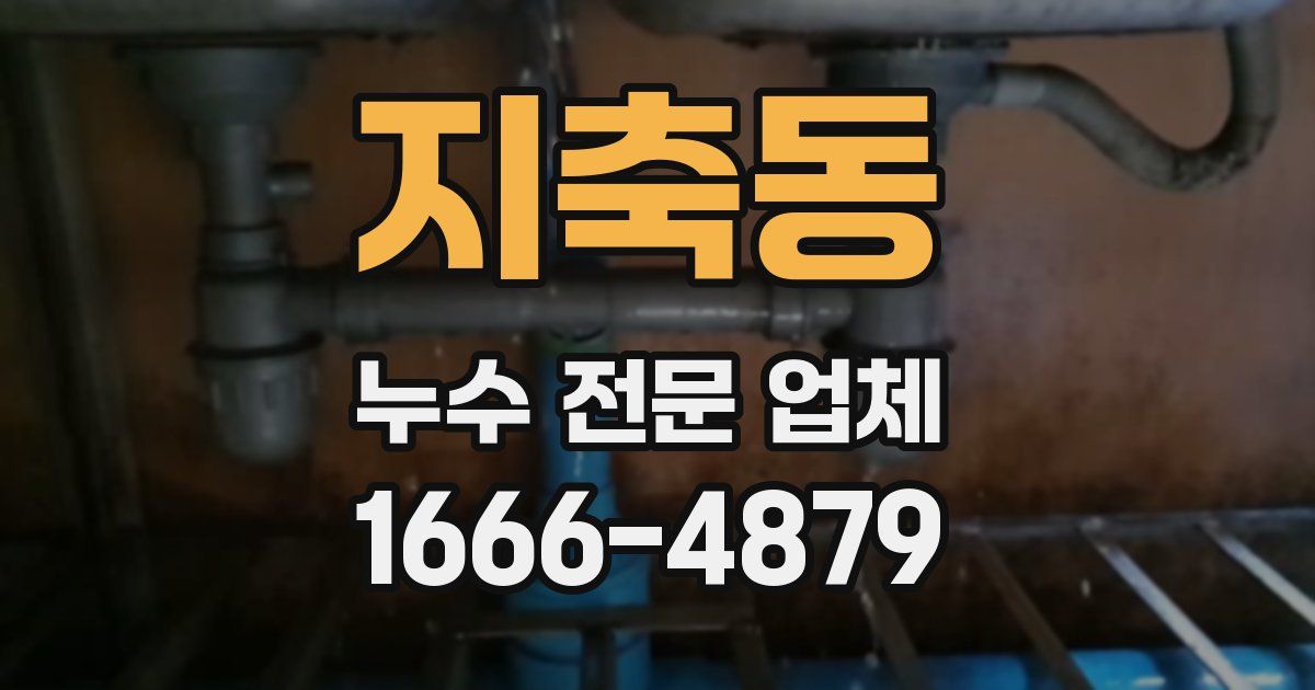 지축동 누수 전문 업체