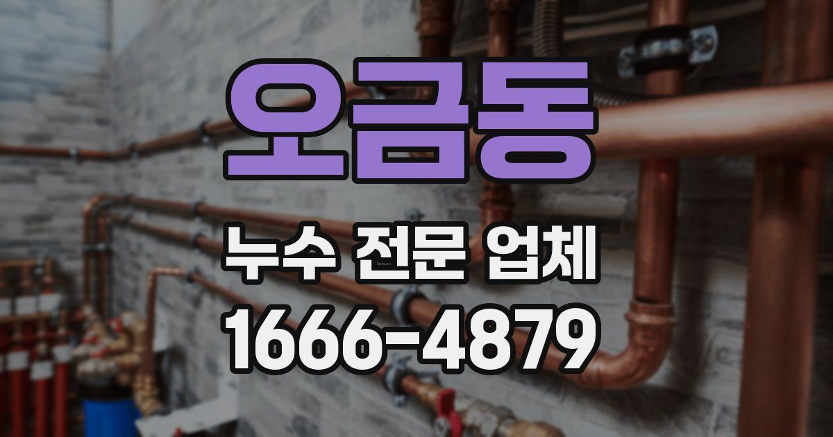 오금동 누수 전문 업체