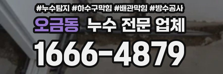 오금동 누수 전문 업체