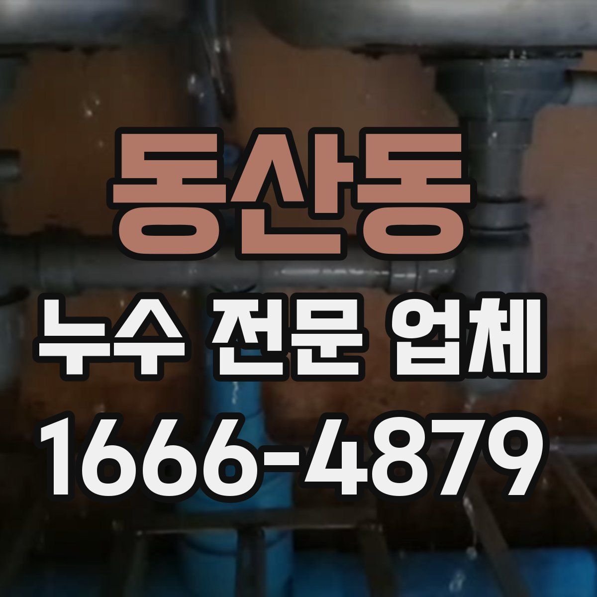 동산동 누수 전문 업체