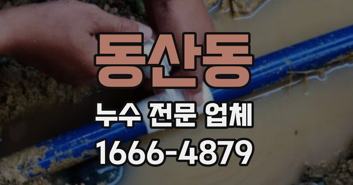 동산동 누수 전문 업체