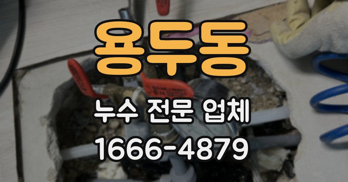 용두동 누수 전문 업체