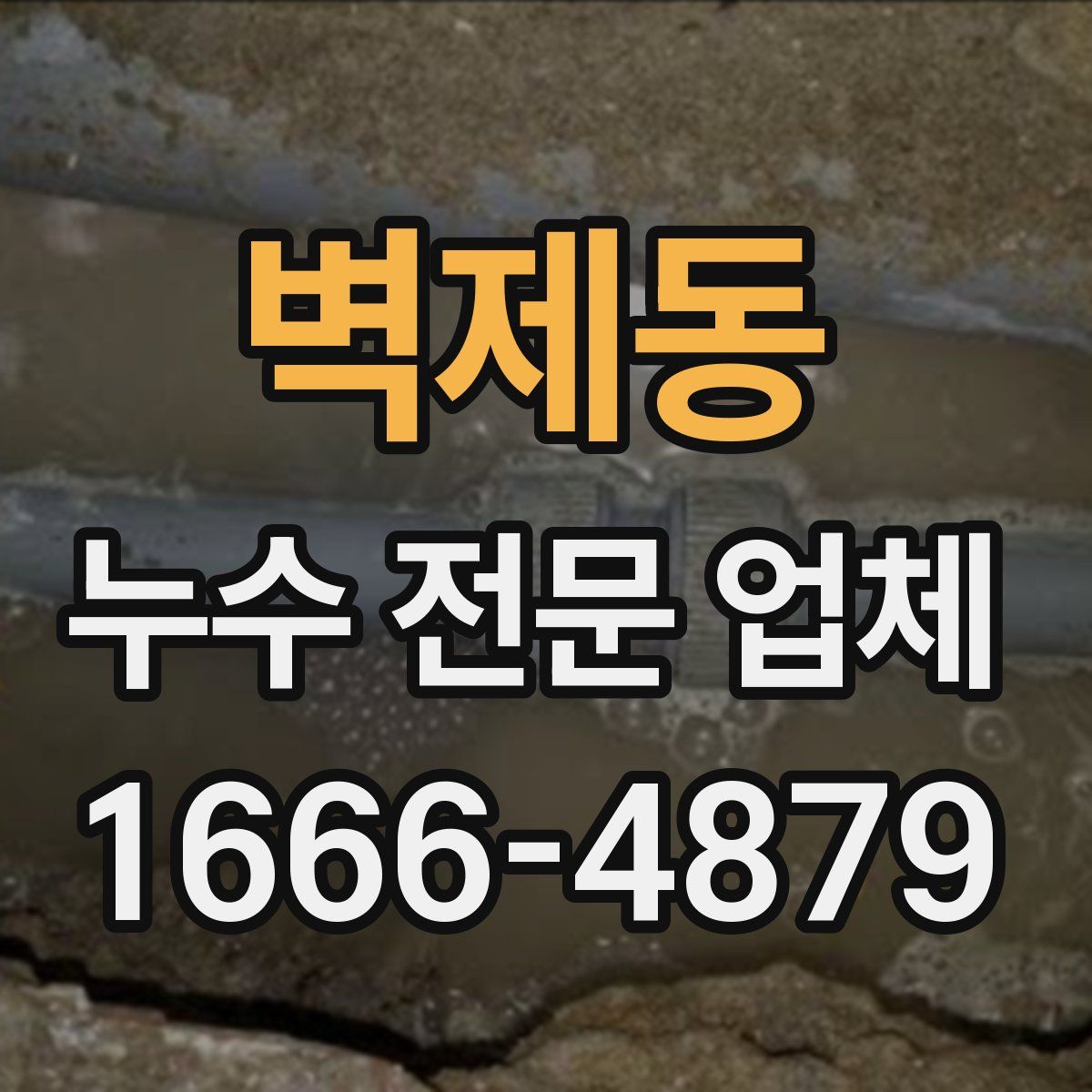 벽제동 누수 전문 업체