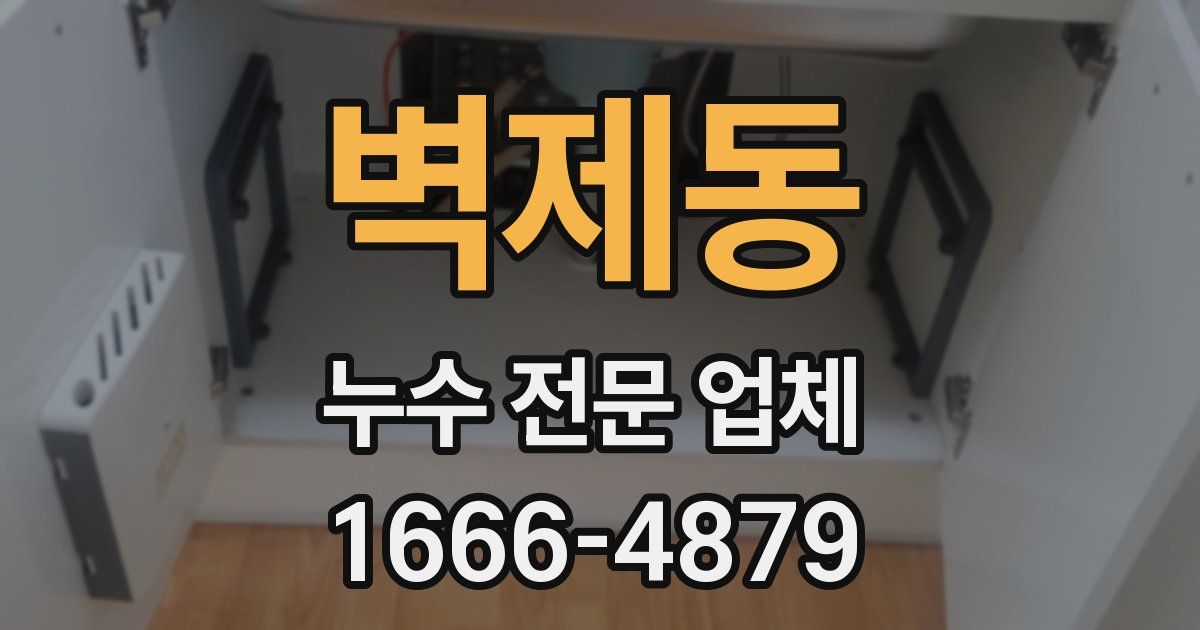 벽제동 누수 전문 업체