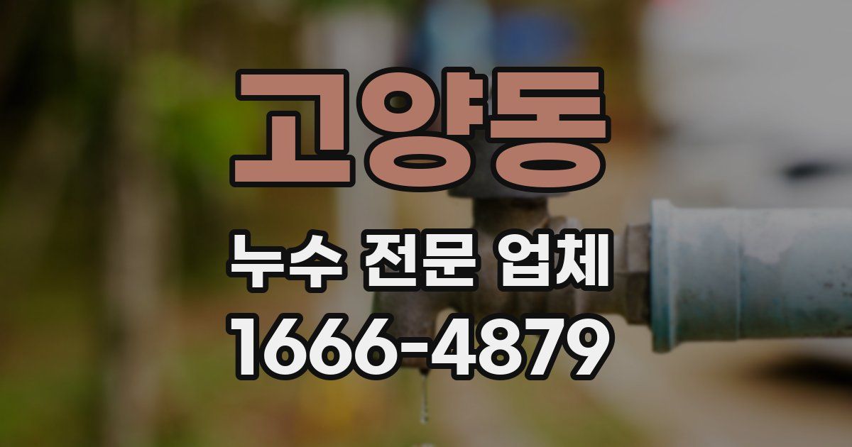 고양동 누수 전문 업체