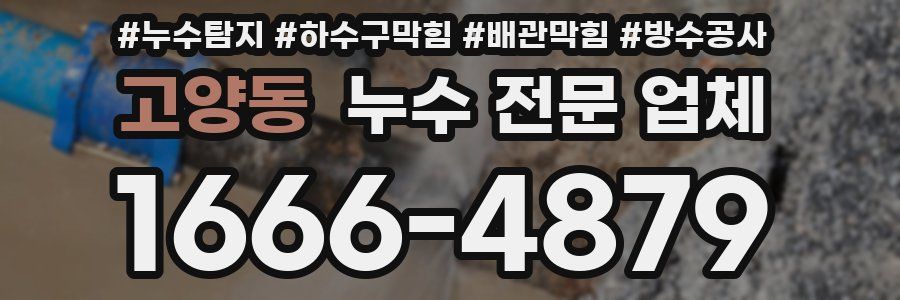 고양동 누수 전문 업체