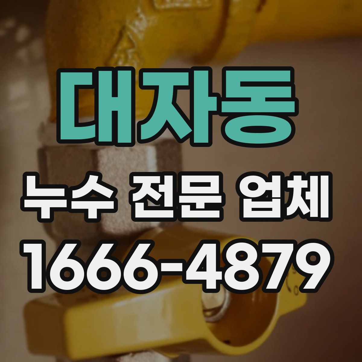대자동 누수 전문 업체
