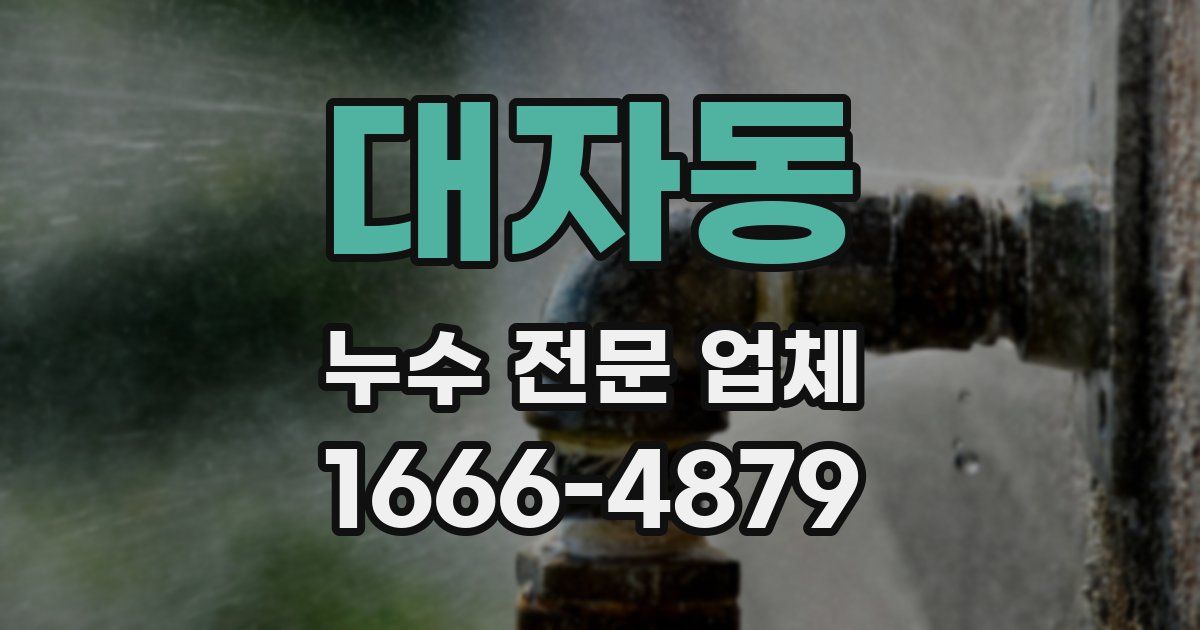 대자동 누수 전문 업체