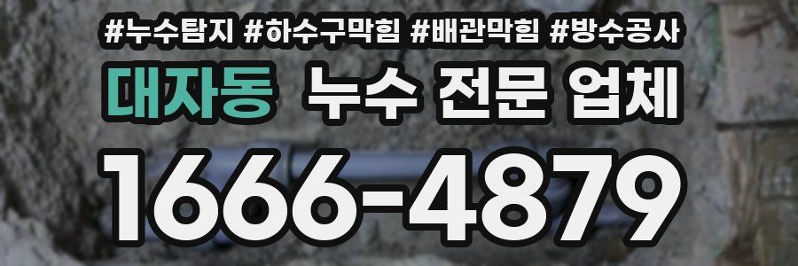 대자동 누수 전문 업체
