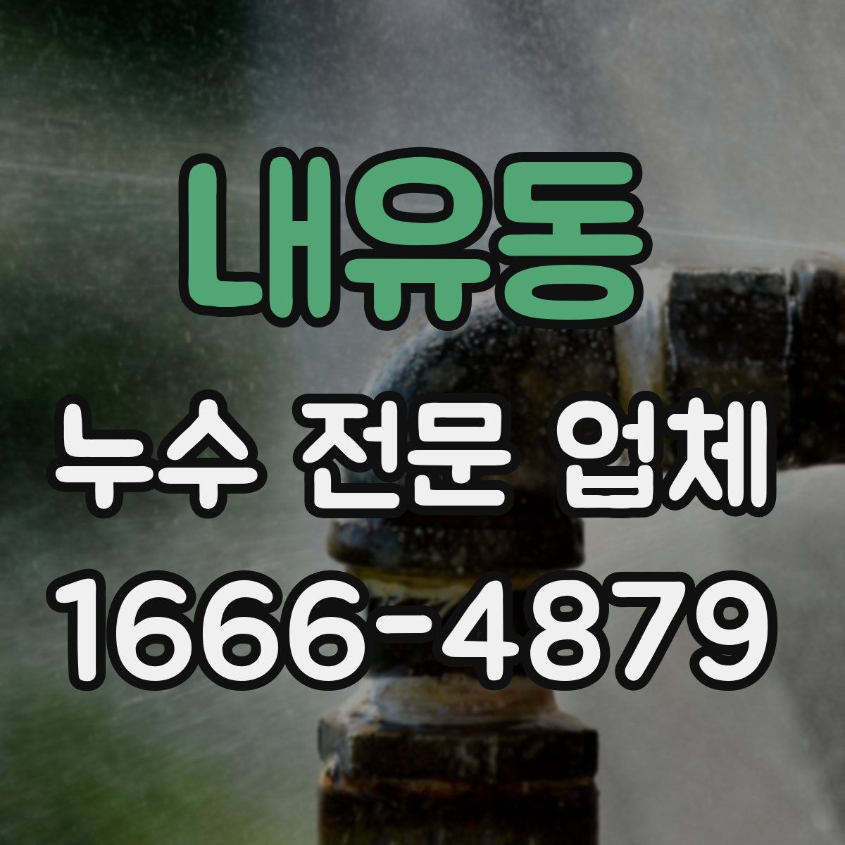 내유동 누수 전문 업체